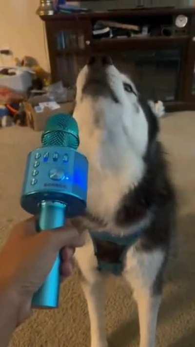 At least better than Travis Scott for sure!