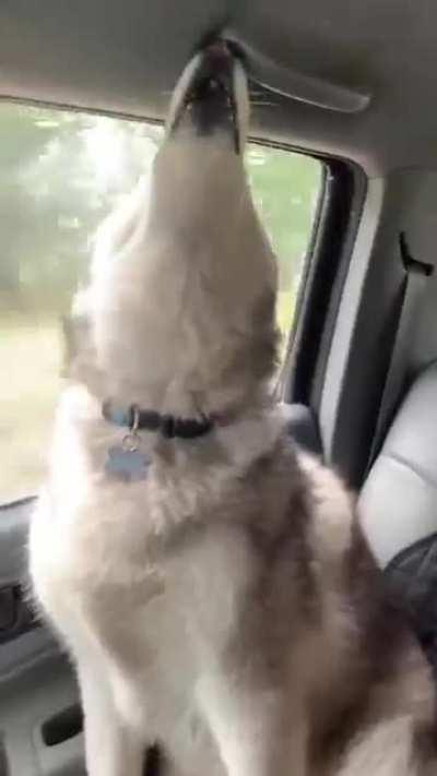 When your siblings are musical kids