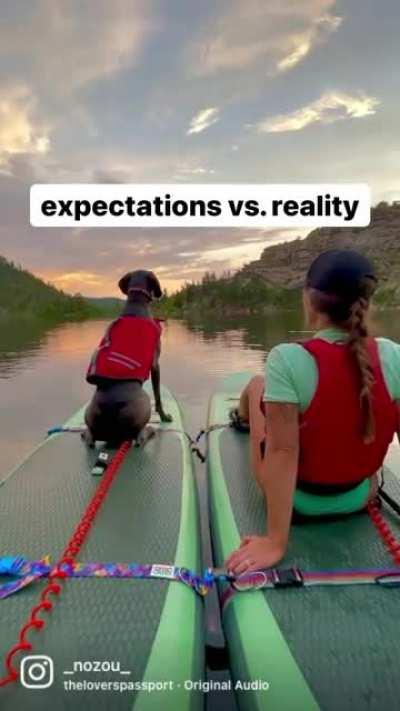 Get a SUP pup they said