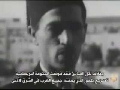 Palestinian revolt 1936, Zioninst 