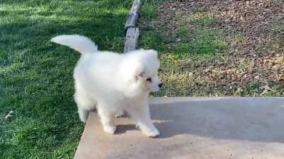 Giovanni is always excited to see his sister Starlette 💚💫💙