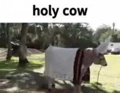 âï¸ð®
