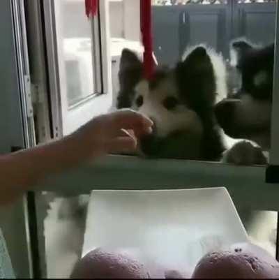 Each of you gets a sticky rice cake