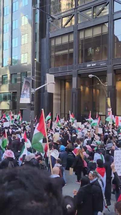 Thousands show up for Palestine in Toronto today