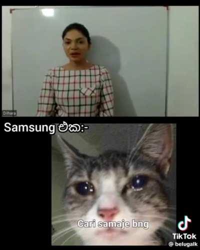 TKASYLUM - Video #2382