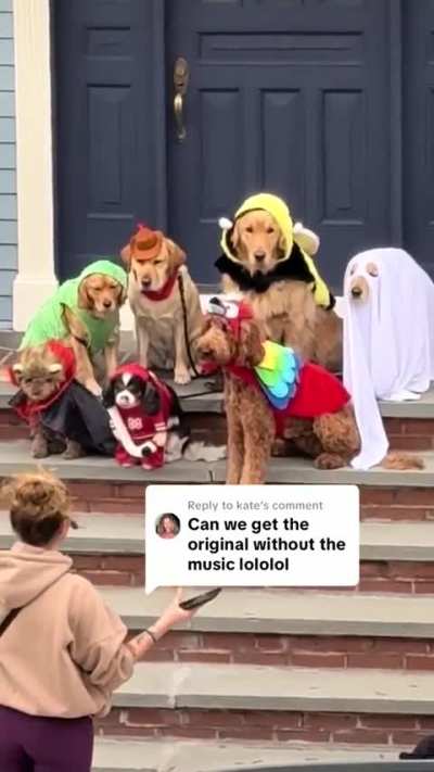 This woman earnestly directing a group dog halloween photoshoot 🤭