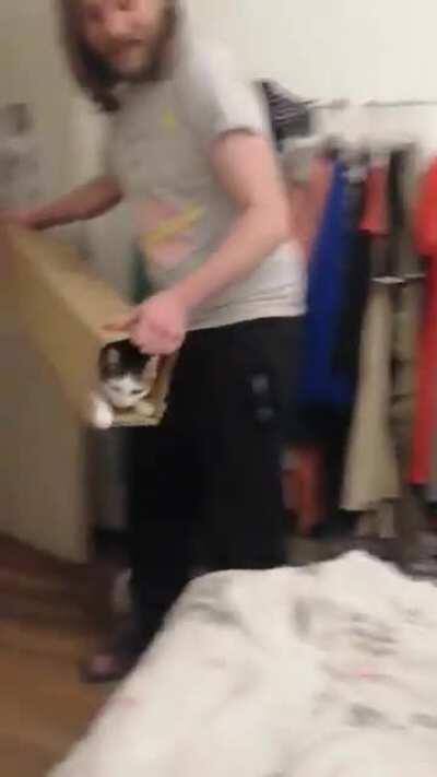 Thanks, I love the self loading Catzooka