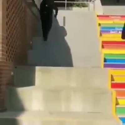 I'm not taking the homo stairs