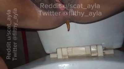 I need a human toilet [F]