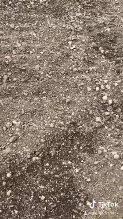 Out in the construction, looking for rocks