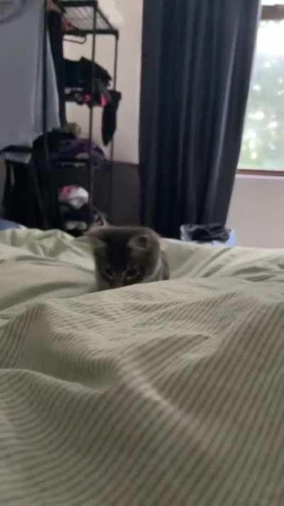 Here is how he got his name, Rocket ð