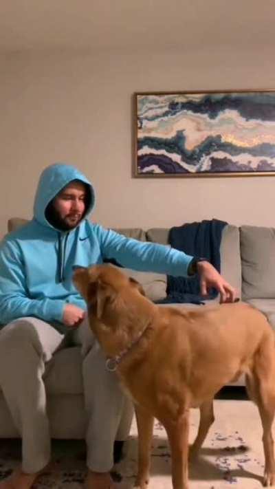 When your human is so lazy you have to do all the work for those back rubs