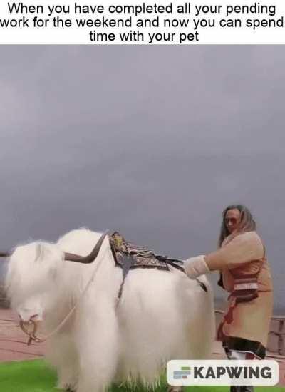 It's gonna be a good time