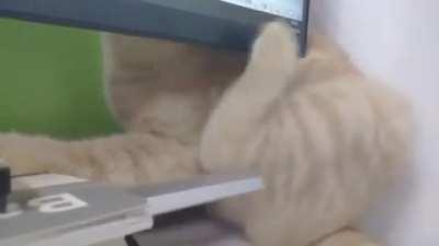 Found this old classic on my phone