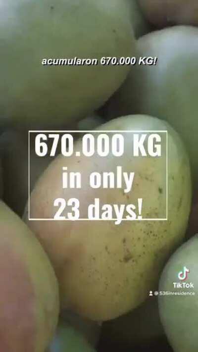 Seguro que Cartes ya tiene negocio con los mangos luego