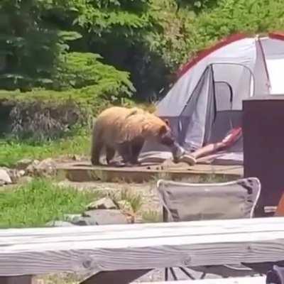 I can't beat this title but you should watch this