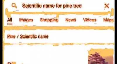 Putting my new Adobe skills to great use