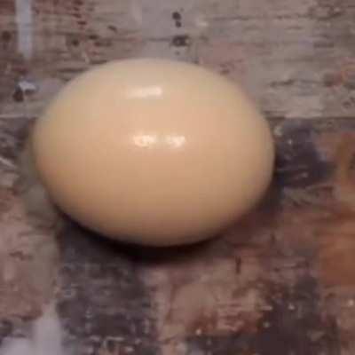 This is an ostrich egg.