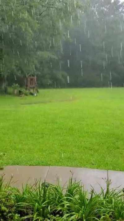 South Louisiana, doesn't get much better.