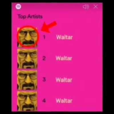 What did vince mean by this?