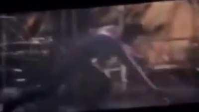 Nooo ella no es Gwen :'v