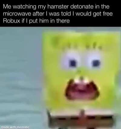 Hamster in Microwave