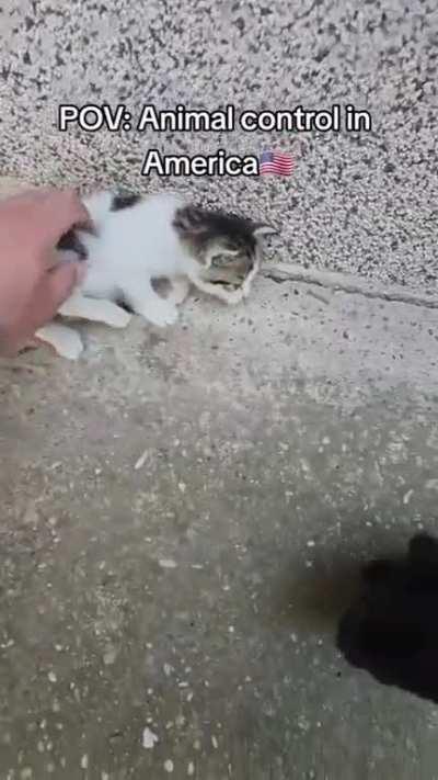 The escalated quickly 