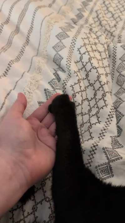 Flex and spread those beans 🐾