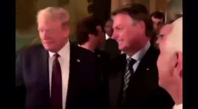 É TRUMP OU NÃO É CHAT? É BOLSONARO OU NAO É CHAT?