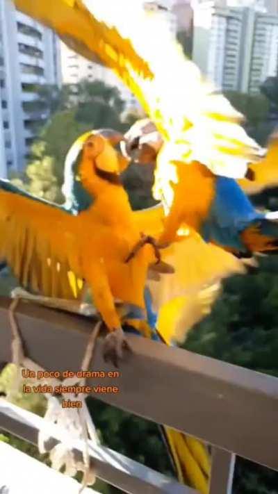 A lot is happening here