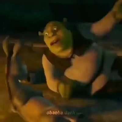 Las películas de shrek resumidas en 21 segundos :)