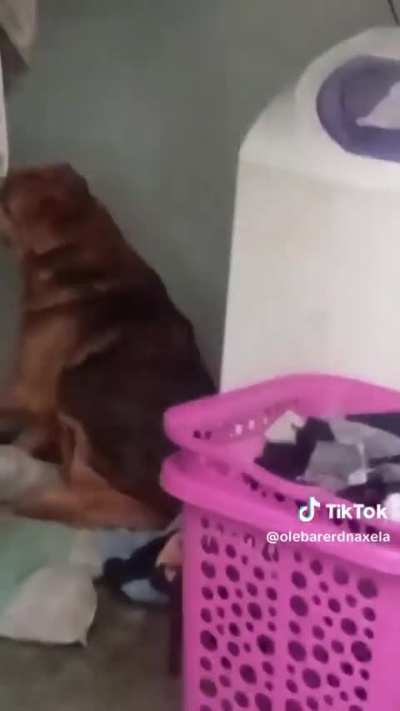 Ta batendo uma né seu safado?