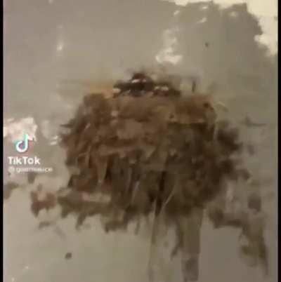 Luangameplay666 - Video #0545