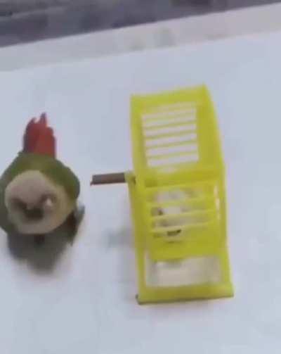 Fuck this mouse in particular