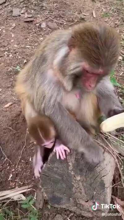 Perfect string removing skill.