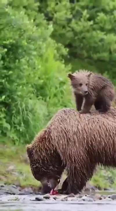 The kid just found the most comfortable place in this forest)