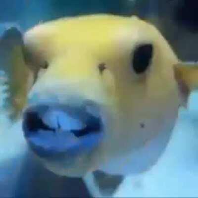 do you guys like my video I spent a lot of time on it