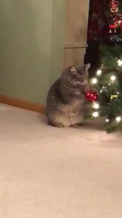 Someone is really bored