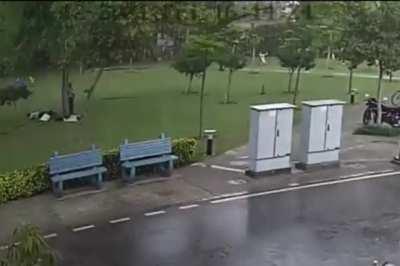 HMFT after lightning strikes multiple people under the same tree