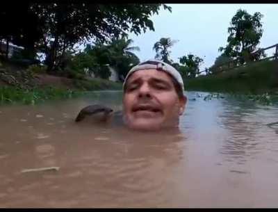 🔥man greeted by otter in water