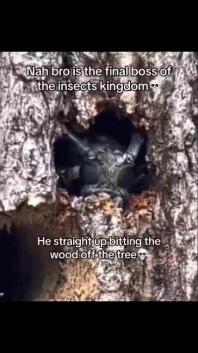 Is that thing even real? 