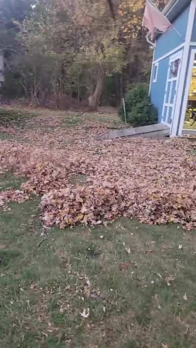 Robot Leaf Blower