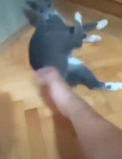 Your kung fu is weak.