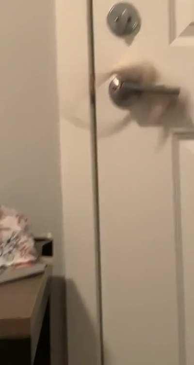 Not sure what I expected but it wasnât this