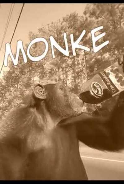 Sippin' Chimp juice w/ my Mind on my Monke