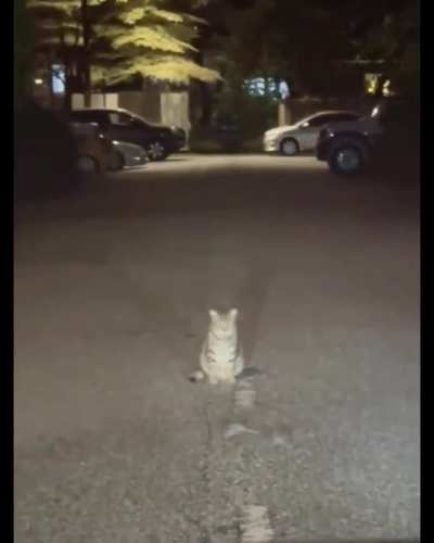 This sub in a nutshell