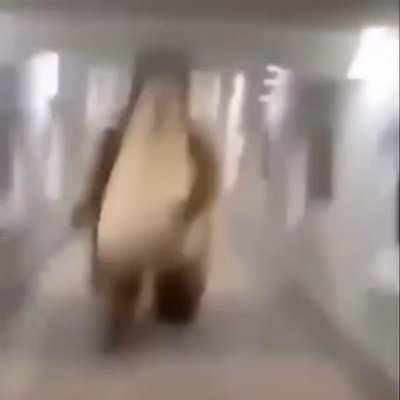 sex bear😳😳😳