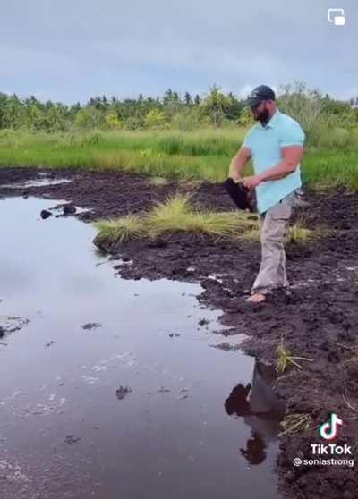 Splish splash I was taking a bath