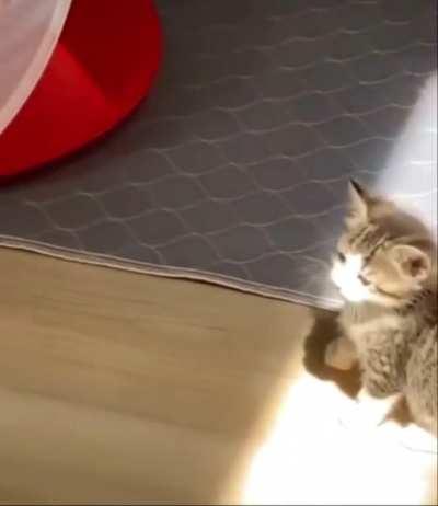 HMC while I catch some rays