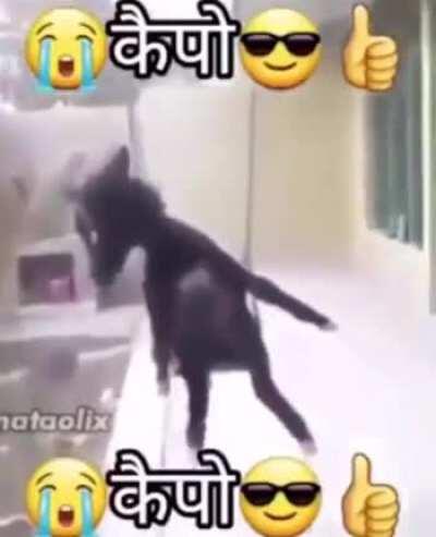 😭😎👍 😭😎👍